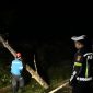 Lokasi kejadian korban saat menabrak pohon tumbang di jalan Berindat | Foto : Zonamu/Ist