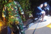 Damkar Lingga Evakuasi Ular Python Sepanjang 7 Meter di Desa Nerekeh | Foto : Zonamu/Humas Damkar