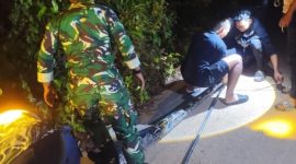 Damkar Lingga Evakuasi Ular Python Sepanjang 7 Meter di Desa Nerekeh | Foto : Zonamu/Humas Damkar