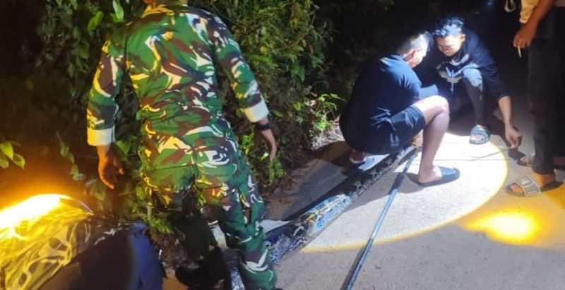 Damkar Lingga Evakuasi Ular Python Sepanjang 7 Meter di Desa Nerekeh | Foto : Zonamu/Humas Damkar