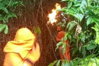 Damkar Lingga Tanggap Cepat Evakuasi Sarang Lebah Sepakelang di Dabo Singkep | Foto : Zonamu/Humas Damkar