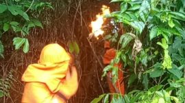 Damkar Lingga Tanggap Cepat Evakuasi Sarang Lebah Sepakelang di Dabo Singkep | Foto : Zonamu/Humas Damkar