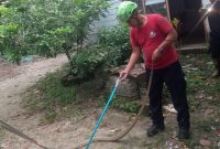 Petugas Damkar saat melakukan evaluasi ular kobra | Foto : Zonamu/Humas Damkar