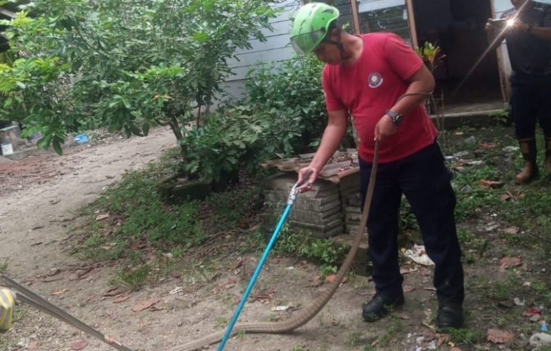 Petugas Damkar saat melakukan evaluasi ular kobra | Foto : Zonamu/Humas Damkar