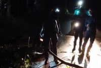 Damkar Singkep Evakuasi Cepat Pohon Tumbang Timpa Warga di Dabo | Foto : Zonamu/Damkar Singkep