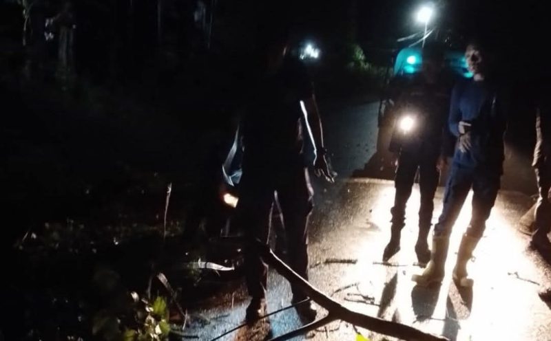 Damkar Singkep Evakuasi Cepat Pohon Tumbang Timpa Warga di Dabo | Foto : Zonamu/Damkar Singkep