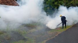 PT Timah Tbk melalui Division Processing Refinery melaksanakan kegiatan fogging di area pemukiman, lingkungan kerja dan juga sekolah | Foto: Zonamu/Humas PT Timah