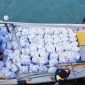 Bantuan paket sembako disediakan PT Timah Tbk untuk korban banjir rob di Desa Penutuk, Kecamatan Lepar, Bangka Selatan | Foto: Zonamu/Humas PT Timah