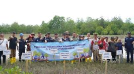 PT Timah bersama pemerintah dan masyarakat menanam 5000 batang mangrove di Kawasan Pantai Takari, Desa Rebo Kabupaten Bangka | Foto: Zonamu/Humas PT Timah