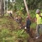 Kelurahan Dabo Lama Gotong Royong Bersihkan Drainase Cegah Banjir | Foto : Zonamu/Harie Kurniawan
