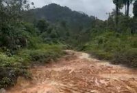 Kondisi jalan rusak di Desa Rantau Panjang | Foto : Zonamu/Ist