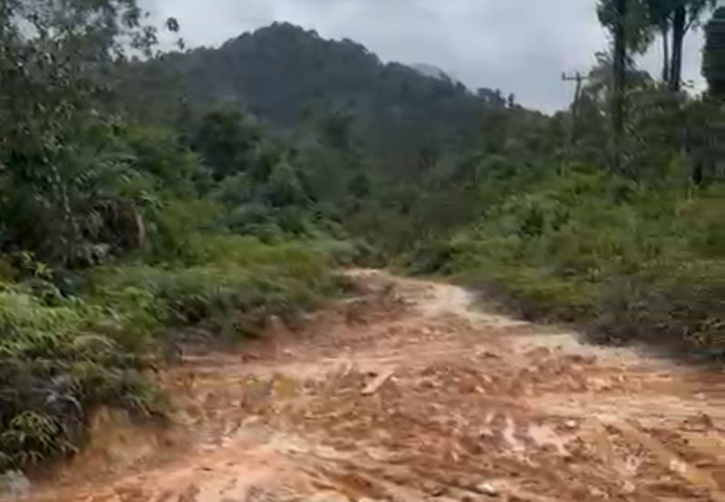 Kondisi jalan rusak di Desa Rantau Panjang | Foto : Zonamu/Ist