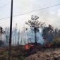 Kebakaran Hutan di Desa Tanjung Irat Satu Hektar Lebih Hangus | Foto : Zonamu/Yo