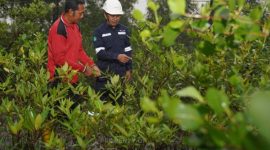 PT Timah Tbk terus konsisten menjalankan program TJSL melalui penanaman 1.400 pohon produktif sepanjang tahun 2025 | Foto: Zonamu/Humas PT Timah