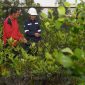 PT Timah Tbk terus konsisten menjalankan program TJSL melalui penanaman 1.400 pohon produktif sepanjang tahun 2025 | Foto: Zonamu/Humas PT Timah