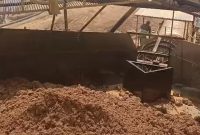 Pekerja PT Hermina Jaya saat melakukan proses pencucian batu bauksit | Foto : Zonamu/Safarudin