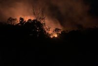 Kebakaran Kebun Warga Sungai Lumpur Mengancam Permukiman | Foto : Zonamu/Ari