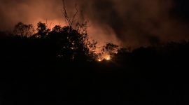 Kebakaran Kebun Warga Sungai Lumpur Mengancam Permukiman | Foto : Zonamu/Ari