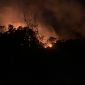 Kebakaran Kebun Warga Sungai Lumpur Mengancam Permukiman | Foto : Zonamu/Ari