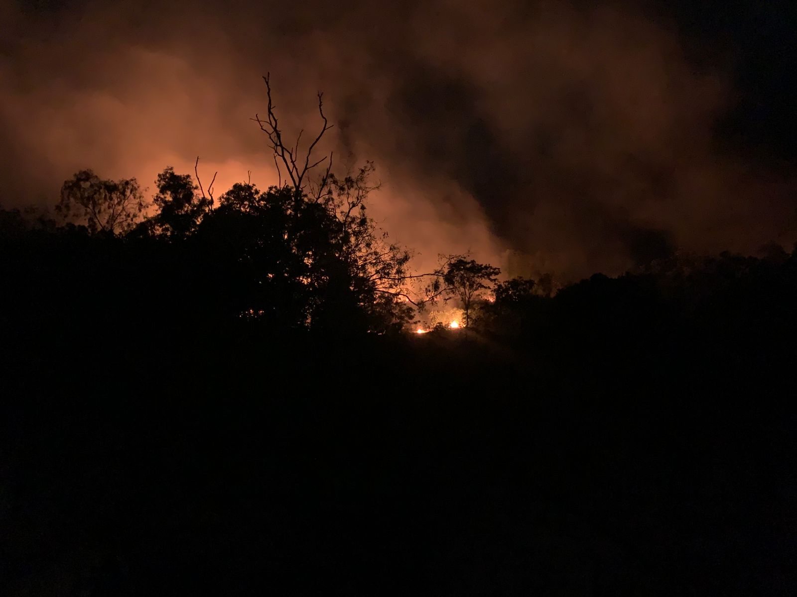 Kebakaran Kebun Warga Sungai Lumpur Mengancam Permukiman | Foto : Zonamu/Ari