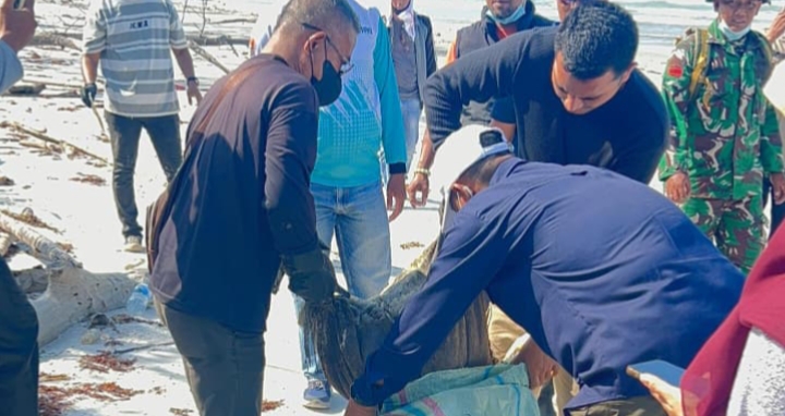 Puluhan Karung Diduga Limbah B3 di Pantai Dungun | Foto : Zonamu/Ist