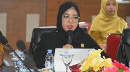 Ketua DPRD Lingga Maya Sari saat pimpin rapat | Foto : Zonamu/Humas Sekwan