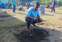 Kadisperindagkop UKM Lingga Febrizal Taupik saat tanam kates dipekarangan kantor | Foto : Zonamu/Wandi