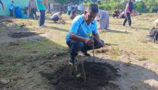 Kadisperindagkop UKM Lingga Febrizal Taupik saat tanam kates dipekarangan kantor | Foto : Zonamu/Wandi