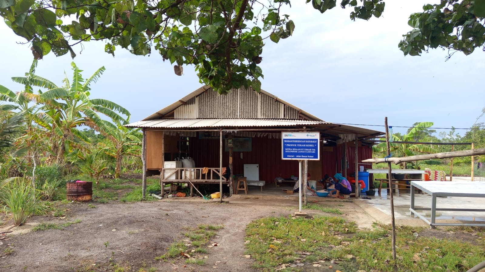 PT Timah Berdayakan KWT Lanjut Lestari di Karimun Melalui Produksi Terasi ‘Belacan Cinta’