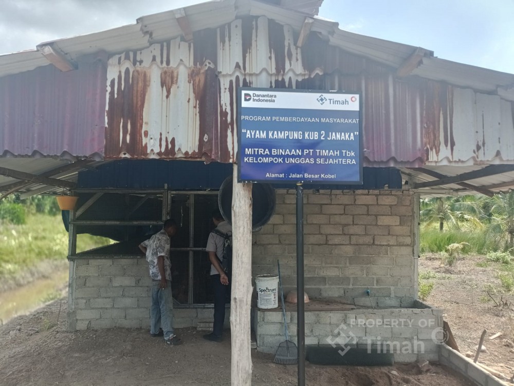 Perwakilan PT Timah Tbk memberikan pembinaan kepada peternak lokal di kawasan pemberdayaan terpadu Desa Sawang Laut | Foto: Zonamu/Humas PT Timah