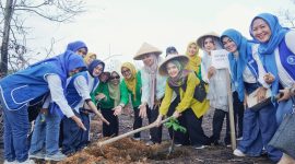 Penanaman bibit pohon oleh Ketua BKOW Kepri, Ketua TP PKK Provinsi Kepri Dewi Kumalasari Ansar Ahmad, Wakil Ketua DPP IWAPI Pusat Hanna Hasanah Fadel Muhammad | Foto : Zonamu/Diskominfo Kepri