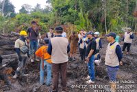 Lahan Sagu Pekaka Lingga, PT CSA Klaim Tak Sengaja, Pemda Minta Hentikan Land Clearing | Foto : Zonamu/Ist
