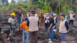 Lahan Sagu Pekaka Lingga, PT CSA Klaim Tak Sengaja, Pemda Minta Hentikan Land Clearing | Foto : Zonamu/Ist