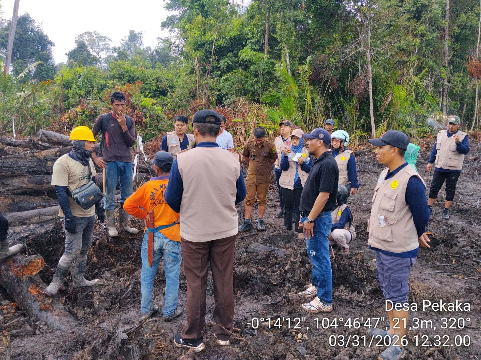 Lahan Sagu Pekaka Lingga, PT CSA Klaim Tak Sengaja, Pemda Minta Hentikan Land Clearing | Foto : Zonamu/Ist