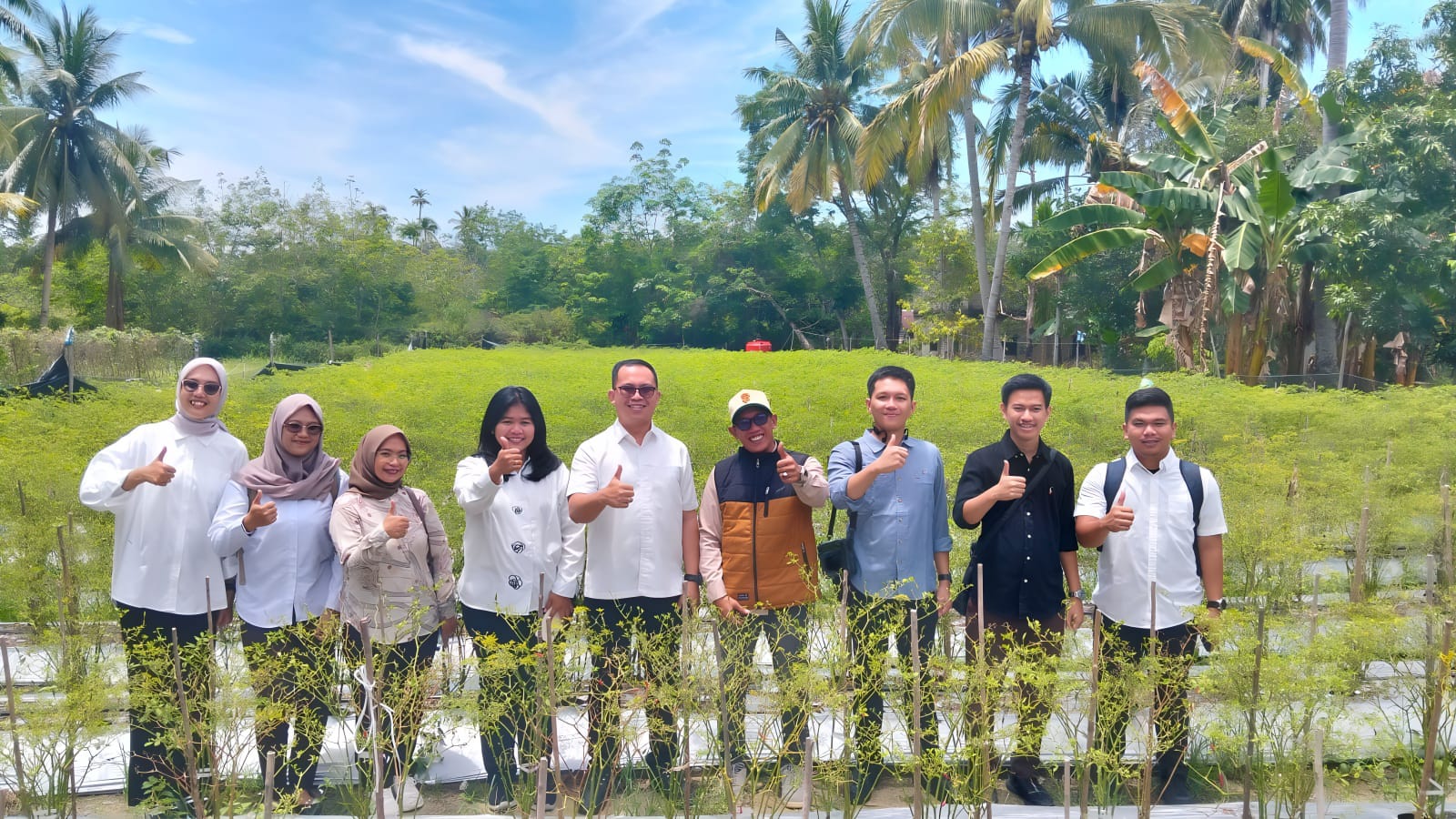 Jajaran Kejaksaan Negeri Karimun saat meninjau kebun cabai yang dikelola oleh Badan Usaha Milik Desa (BUMDes) Selat Mendaun | Foto: Zonamu/Pemdes Selat Mendaun