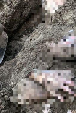 Polisi Selidiki Penemuan Mayat Wanita Terkubur di Dabo Singkep