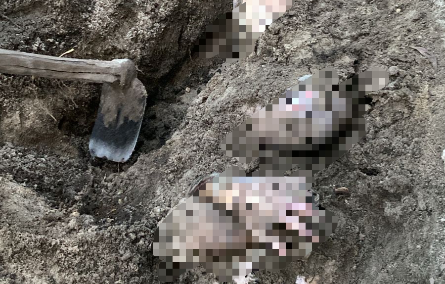 Sosok mayat perempuan yang ditemukan terkubur di halaman rumahnya | Foto : Zonamu/ist