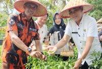 MPC PP Lingga bersama Camat Singkep panen perdana cabe rawit | Foto : Zonamu/Wandi