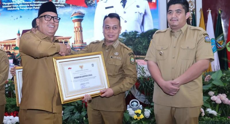 Bupati Lingga saat terima penghargaan dari Wakil Gubernur Kepri | Foto : Zonamu/Ist