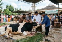 Ilustrasi pemotongan hewan qurban saat hari raya Idul Adha | Foto : Zonamu/AI