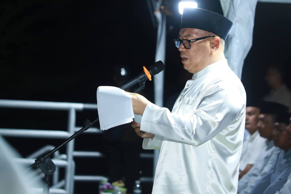 Wakil Gubernur Kepri, Nyanyang Haris Pratamura | Foto : Zonamu/Ist