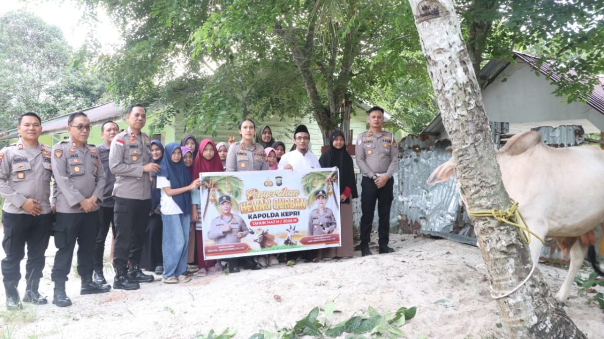 Kapolres Salurkan Sapi Kurban Untuk Warga Karimun | Foto : Zonamu/Bustomi