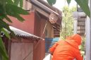 Damkar Lingga Gerak Cepat Evakuasi Sarang Tawon Vespa | Foto : Zonamu/Ist