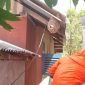 Damkar Lingga Gerak Cepat Evakuasi Sarang Tawon Vespa | Foto : Zonamu/Ist