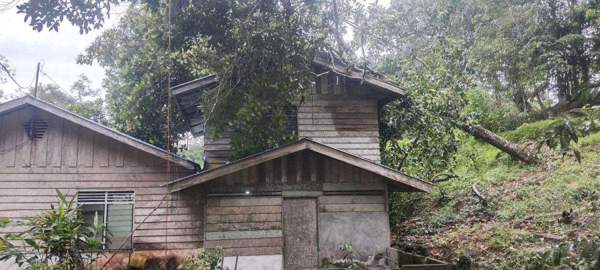 Kondisi Rumah yang ditimpa pohon besar | Foto : Zonamu/Yudiar