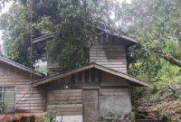 Kondisi Rumah yang ditimpa pohon besar | Foto : Zonamu/Yudiar