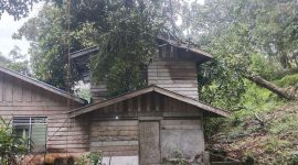Kondisi Rumah yang ditimpa pohon besar | Foto : Zonamu/Yudiar