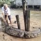 Warga Panggak Laut Tangkap Buaya Muara Pemangsa Ternak | Foto : Zonamu/Ist