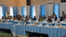 Wabup Lingga saat mengikuti rapat bersama Menko Polkam | Foto : Zonamu/Ist