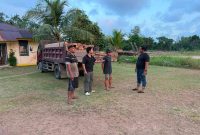 Tim Gabungan Bongkar Dugaan Pengiriman Tiga Ton Kayu Ilegal | Foto : Zonamu/Ist